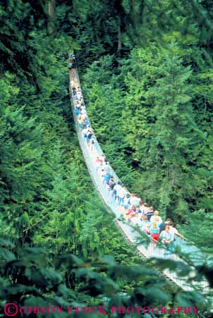 Stock Photo #12075: keywords -  acrophobia attraction bridge bridges british canada canyon canyons capilano columbia elevate elevated fear fearful foot footbridge forest high pedestrian pedestrians people recreation scare scary span spanning spans tourist trees vancouver vert walk walker walkers walking walks