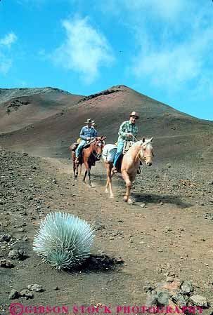 Stock Photo #13500: keywords -  arid barren desert desolate desolation dry geologic geological geology haleakala hawaii hawaiian horse horseback horses island landscape landscapes maui national park parks people public recreation ride rider riders riding rock rocky sands scenery scenic silversword sliding trail trails vert volcanic volcano xeric