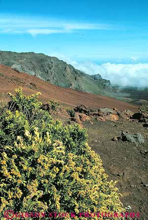 Stock Photo #13503: keywords -  arid barren desert desolate desolation dry geologic geological geology haleakala hawaii hawaiian island landscape landscapes maui national park parks plant plants public rock rocky scenery scenic vegetation vert volcanic volcano xeric