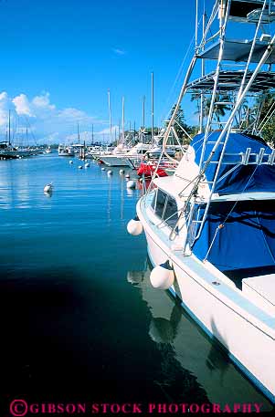 Stock Photo #13522: keywords -  boat boats destination expensive fishing harbor harbors hawaii hawaiian islands lahaina marina marinas maui new sport travel tropical vacation vert waterfront yacht yachts