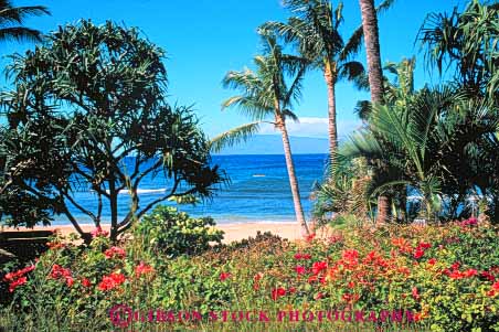 Stock Photo #8668: keywords -  beach beaches coast coastal destination hawaii hawaiian horz island islands kaanapali landscape marine maritime maui ocean plant plants resort resorts scenic sea seashore seawater shore shoreline surf travel tropical usa vacation vegetation water