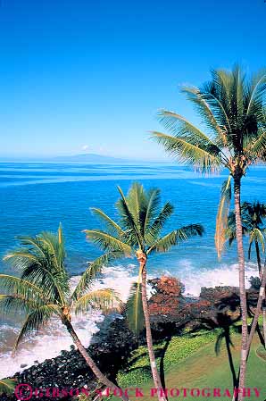 Stock Photo #13903: keywords -  and big coast coastal hawaii hawaiian island islands kauai landscape maui oahu ocean palm plant plants scenery scenic sea seashore shore shoreline surf tree trees tropic tropics vert water