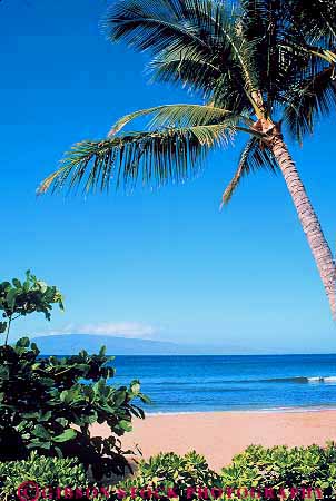 Stock Photo #13904: keywords - beach beaches big coast coastal hawaii hawaiian island islands kaanapali kauai landscape maui oahu ocean palm plant plants sand scenery scenic sea seashore shore shoreline surf tree trees tropic tropics vert water