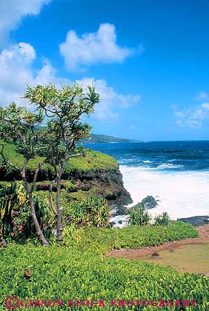 Stock Photo #13905: keywords - and big cliff cliffs coast coastal hana hawaii hawaiian island islands kauai landscape maui mauia oahu ocean palm plant plants rough scenery scenic sea seashore shore shoreline steep surf tree trees tropic tropics vert water waves