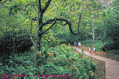 Stock Photo #8670: keywords - destination families family forest group groups hawaii hawaiian hiking horz iao island islands maui rainforest released resort resorts travel tropical usa vacation valley vegetation walk walker walkers walking