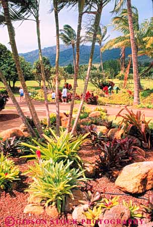 Stock Photo #8673: keywords - destination garden gardens hawaii island islands maui people plant plantation plants resort resorts travel tropical usa vacation vegetation vert walk walker walkers walking