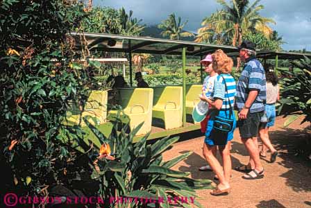 Stock Photo #8674: keywords -  boarding destination group hawaii hawaiian horz island islands maui people plantation resort resorts tour tours train trains tram trams travel tropical usa vacation