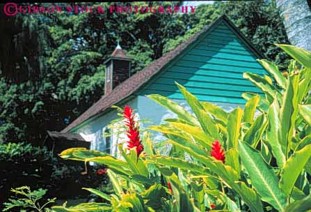 Stock Photo #8675: keywords -  blossom blossoming blossoms church destination flower flowers ginger green hawaii hawaiian hoomau horz island islands maui palapala red resort resorts travel tropical usa vacation vegetation