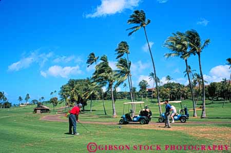 Stock Photo #8684: keywords -  course destination golf golfer golfers golfing hawaii horz island islands kaanapali maui men outdoor outside palm recreation resort resorts royal sport travel tree tropical usa vacation