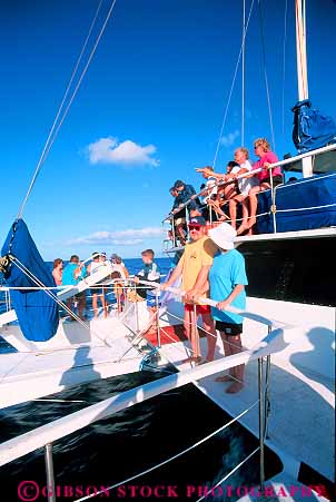 Stock Photo #13548: keywords -  activities activity boat boating boats fun hawaii hawaiian leisure look looking maui ocean people person play playing plays recreation sea see seeing sight sport sports sunny tropical vacation vert warm watch watching water whale