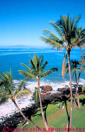 Stock Photo #13550: keywords - activities activity between coast coastal fun hawaii hawaiian leisure maui ocean outdoor outside palm people person play playing plays recreation sea shore shoreline sport sports stroll strolling sunny sunshine tree trees tropical vacation vert walk walker walking warm water