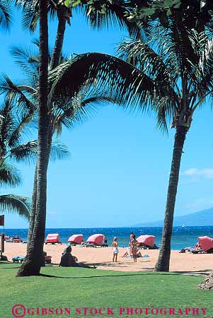 Stock Photo #13553: keywords - activities activity beach beaches cabana cabanas fun hawaii hawaiian kaanapali leisure maui ocean outdoor outside palm people person play playing plays recreation sand sea sport sports sunny sunshine tree trees tropical vacation vert warm water with