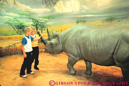 Stock Photo #12195: keywords - animal boy boys buffalo children display exhibit feel horz look mammal museum museums new of people rhinoceros science see stuffed touch touching york