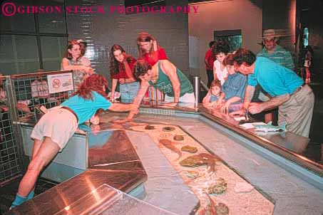 Stock Photo #8519: keywords -  americas aquarium aquariums destination families family horz life louisiana marine new of orleans people pool public recreation sea tank touch touching travel usa vacation