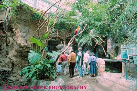 Stock Photo #8520: keywords -  americas aquarium aquariums destination horz louisiana new of orleans people public rainforest recreation travel usa vacation