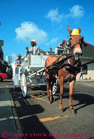 Stock Photo #8533: keywords -  carriage carriages destination drawn guide guided horse horses louisiana new orleans recreation tour tourists travel traveler travelers usa vacation vert