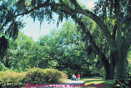 Stock Photo #13612: keywords -  estate estates families family gardens green historic history home horz iberia jefferson live louisiana moss new oak old path paths plantation plantations road roads site sites south southern spanish stroll strolling strolls tourist tourists tradition traditional trail tree trees under vintage visitor visitors walk walkers walking