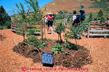 Stock Photo #12652: keywords -  botanical butte city explore families family garden gardens horz lake lollipop park parks people public red salt summer utah visit walk walking