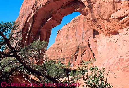 Stock Photo #13632: keywords -  arch arches circle circular couples exposure formation formations geologic geological geology hike hiker hikers hikes hole horz landscape landscapes national opening pair park parks people pine public recreation red redrock round sandstone scenery scenic sedimentary slickrock standing tree tunnel under utah