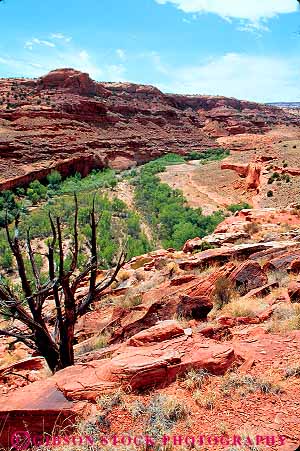 Stock Photo #12021: keywords - area bed bottom canyon canyons cliff desert ecology erode eroded eroding erosion escalante formation geologic geological geology glen habitat landscape landscapes national nature oasis overview park parks recreation river rivers rock rocks sandstone scenery scenic sediment southwest utah vert water west western