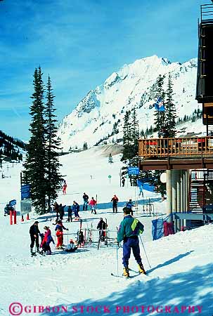 Stock Photo #13911: keywords - alta area base cold downhill mountain mountains outdoor outside recreation resort resorts rocky season ski skier skiers skiing skis snow sport sports trip utah vacation vert wasatch winter