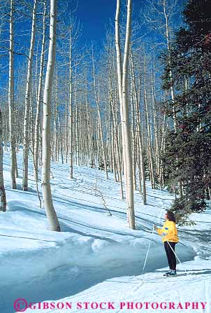Stock Photo #13933: keywords - alone area birch brighton cold crosscountry downhill look looking looks mountain mountains outdoor outside people recreation released resort resorts rocky season see seeing sees ski skier skiing skis snow solitary solitude sport sports tree trees trip utah vacation vert wasatch winter woman women