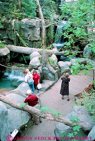 Stock Photo #13992: keywords -  aquarium aquariums artificial big chattanooga fake forest forests people pretend public simulate simulated simulates tennessee vert