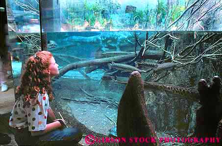 Stock Photo #13993: keywords -  aquarium aquariums big chattanooga exhibit exhibits freshwater girl horz people person public tennessee woman young