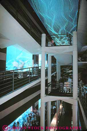 Stock Photo #13994: keywords -  aquarium aquariums architecture atrium big chattanooga design forest interior modern people public simulated style tennessee vert