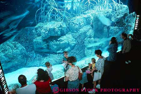 Stock Photo #13995: keywords - aquarium aquariums big chattanooga display exhibit horz large marine people public salt sea tank tennessee water