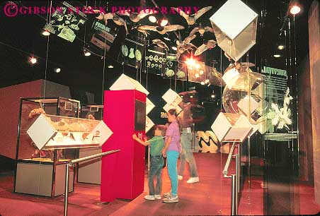 Stock Photo #11312: keywords -  children exhibit horz interactive memphis museum museums palace people pink tennessee