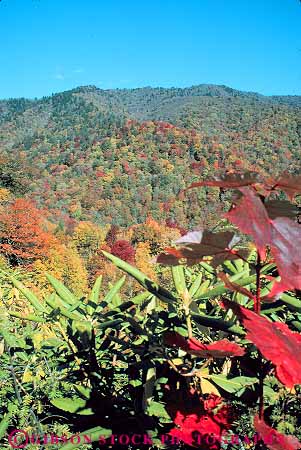 Stock Photo #12056: keywords - appalachian autumn carolina color fall foliage forest great landscape landscapes mountain mountains national north park parks public scenery scenic season smoky tree trees vert