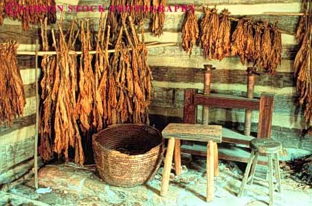 Stock Photo #3385: keywords -  cabin carolina cure cured cures curing dried dries dry drying hang hanging hangs historic history horz hung in leaf leaves living north old reenactment salem tobacco