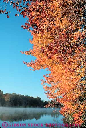 Stock Photo #14045: keywords -  appalachia appalachian autumn blue bright byway carolina color countryside fall foliage great lake lakes landscape landscapes mountain mountains national north orange park parks parkway price public ridge road route routes rural scenery scenic season smoky spring summer vert