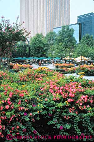 Stock Photo #7641: keywords - america american architecture building buildings business carolina center charlotte cities city cityscape cityscapes downtown first flowers high modern new north office plaza rise skyline skylines union urban usa vert