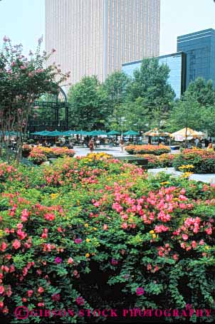 Stock Photo #7641: keywords -  america american architecture building buildings business carolina center charlotte cities city cityscape cityscapes downtown first flowers high modern new north office plaza rise skyline skylines union urban usa vert