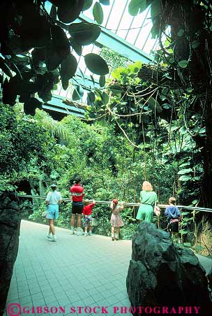 Stock Photo #12196: keywords - artificial carolina center charlotte discovery display environment exhibit fake families family habitat in moist museum museums nature north people pretend rainforest rainforests realism realistic simulate simulated simulates tropical vert