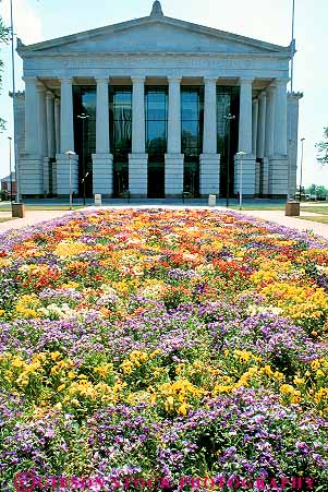 Stock Photo #14060: keywords - and architecture auditorium auditoriums bed building carolina design flower flowering flowers garden gardens greek memorial municipal north pansies pansy public raleigh style vert