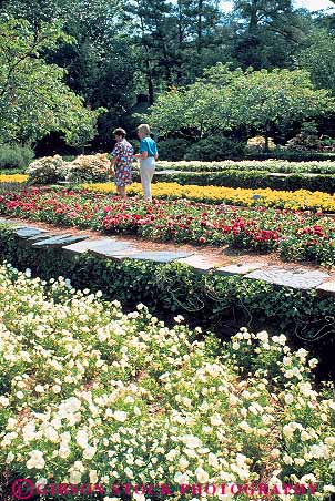 Stock Photo #12368: keywords -  botanical carolina chat chating color colorful duke durham flower flowers garden gardens in north people sarah stroll strolling talk talking university vert walk walking women