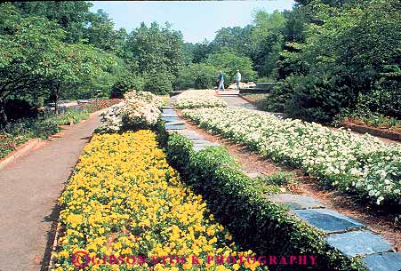 Stock Photo #12369: keywords -  botanical carolina color colorful duke durham flower flowers garden gardens horz in north people sarah stroll strolling university walk walking women