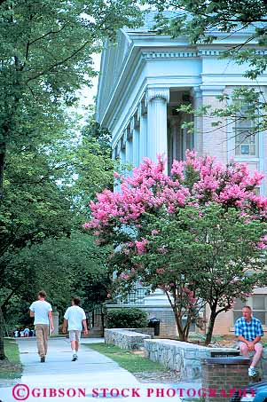 Stock Photo #12373: keywords -  baptist blossom blossoming blossoms carolina chapel church courthouse courthouses crepe flower flowering flowers hill myrtle north pink summer university vert