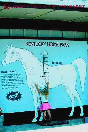 Stock Photo #14076: keywords - animal animals big blue child children compare compared compares comparing comparison contrast contrasted contrasting contrasts country difference different differing display girl grass hands height horse horses huge kentucky large lexington little measure measurement measures measuring park parks public range reach reaches reaching released scale short size sizes small state tall tiny vert