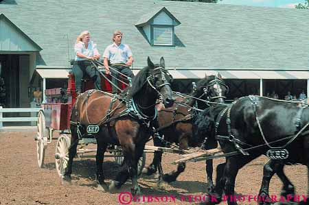 Stock Photo #14081: keywords - blue buck corral country drive driver drives grass horse horses horz kentucky lexington park parks power powerful public show showing shows state team wagon wagons