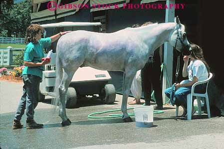 Stock Photo #14083: keywords -  animal animals blue care caretaker caring clean cleaning country grass groom groomer grooming grooms horse horses horz husbandry kentucky lexington park parks public state wash washes washing woman women