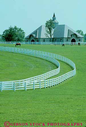 Stock Photo #14085: keywords - animal animals barn barns blue country countryside curve curves curving farm farms fence fences grass home horse horses house kentucky landscape lexington line linear lines livestock parallel pasture pastures pattern ranch ranches rural scenery scenic vert