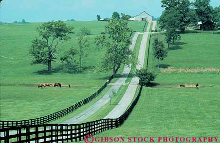 Stock Photo #14088: keywords -  blue country countryside farm farms fence fences grass hill hills hilly horse horz kentucky landscape lexington line linear lines parallel pasture pastures pattern ranch ranches road roads rural scenery scenic