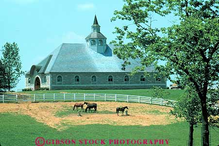 Stock Photo #14090: keywords - animal animals architecture barn barns blue country countryside design elaborate expensive farm farms fence fences grass horse horses horz kentucky landscape lexington livestock pasture pastures ranch ranches rural scenery scenic steeple style upscale