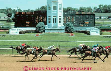 Stock Photo #14146: keywords -  animal animals bet bets betters betting churchill compete competing competition competitors course courses downs fast gamble gambling horse horses horz jockey jockeys kentucky landmark louisville mammal mammals motion moving people race racer racers races racing speed track tracks