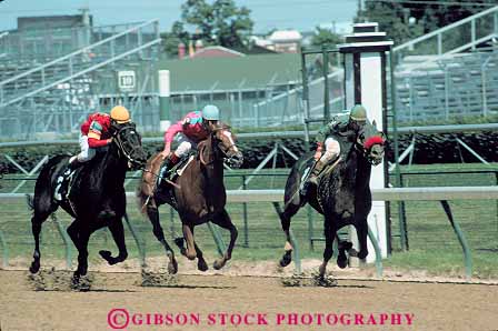 Stock Photo #14147: keywords -  animal animals bet bets betters betting churchill compete competing competition competitors course courses downs fast gamble gambling horse horses horz jockey jockeys kentucky landmark louisville mammal mammals motion moving people race racer racers races racing speed track tracks