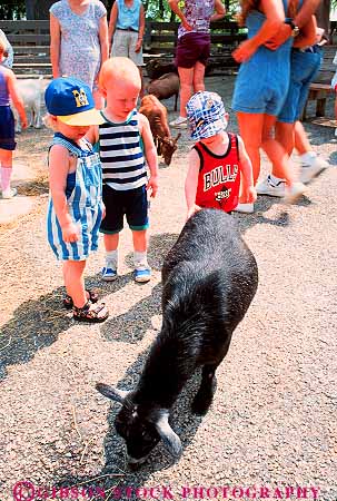 Stock Photo #12147: keywords -  animal boy boys child children columbus cute feel goat goats in livestock look mammal ohio pet petting season see summer touch vert warm youth zoo zoos